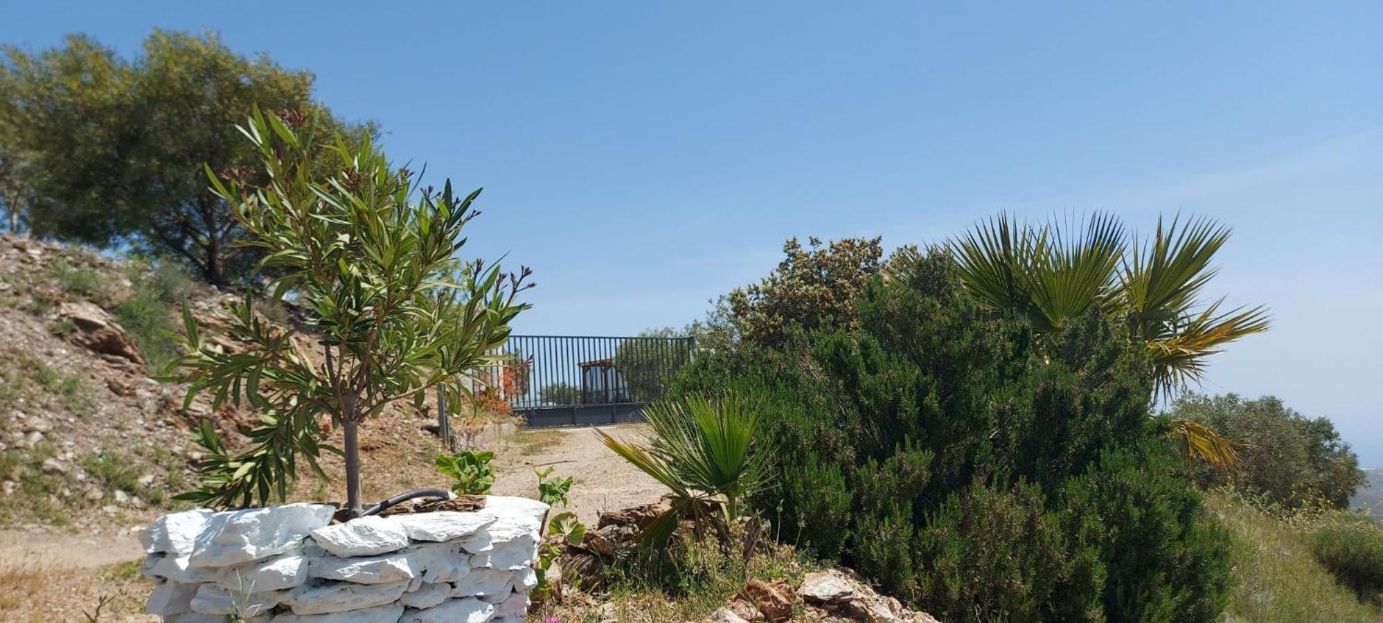 Villa Cortijo Blanco à Albondon Extérieur photo