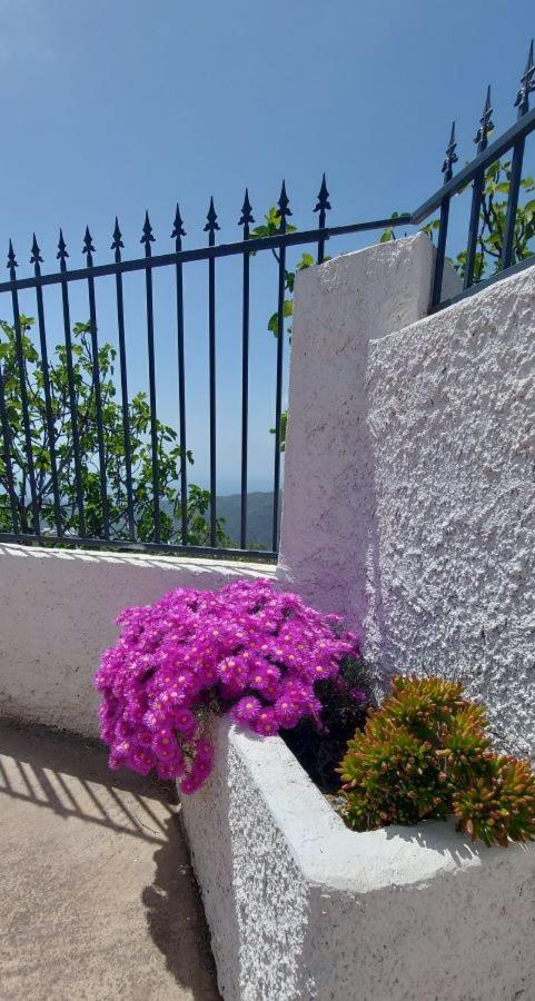 Villa Cortijo Blanco à Albondon Extérieur photo